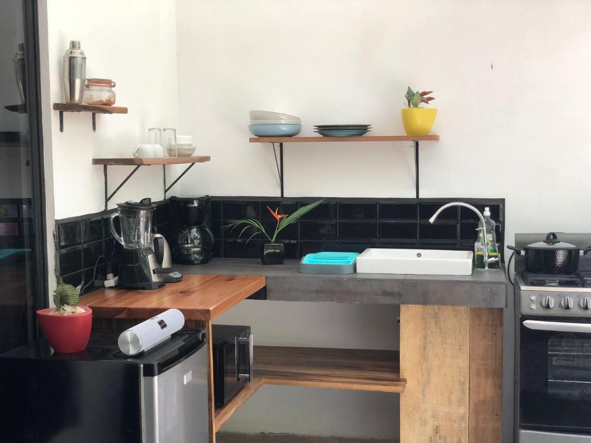Casa Eden - Modern Peaceful Jungle Apartments 科克莱斯 外观 照片