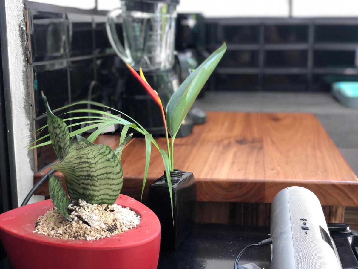 Casa Eden - Modern Peaceful Jungle Apartments 科克莱斯 外观 照片
