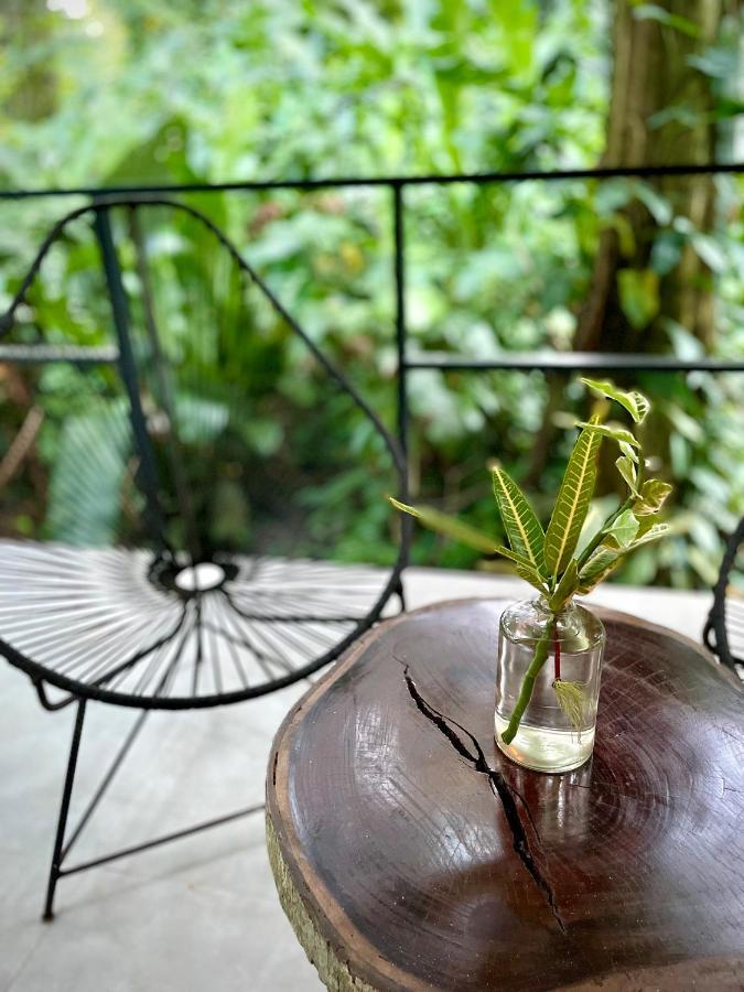 Casa Eden - Modern Peaceful Jungle Apartments 科克莱斯 外观 照片