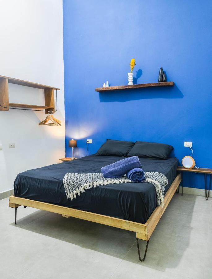 Casa Eden - Modern Peaceful Jungle Apartments 科克莱斯 外观 照片